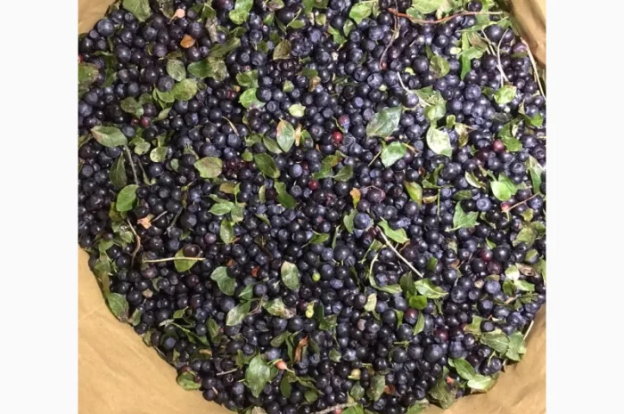 Продам малину- фото № 5