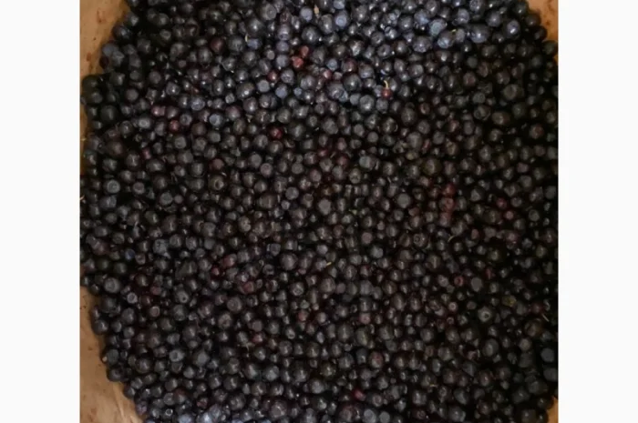 Продам малину- фото № 6