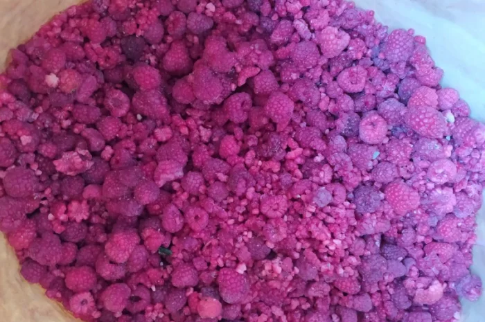 Продам грис малини- фото № 1