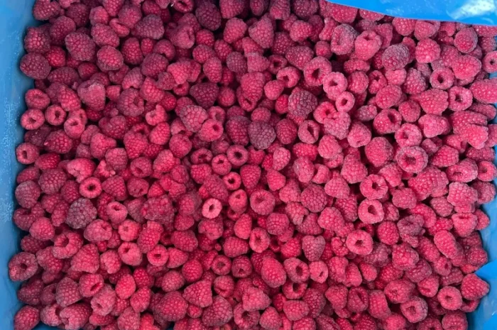 Продам грис малини- фото № 3