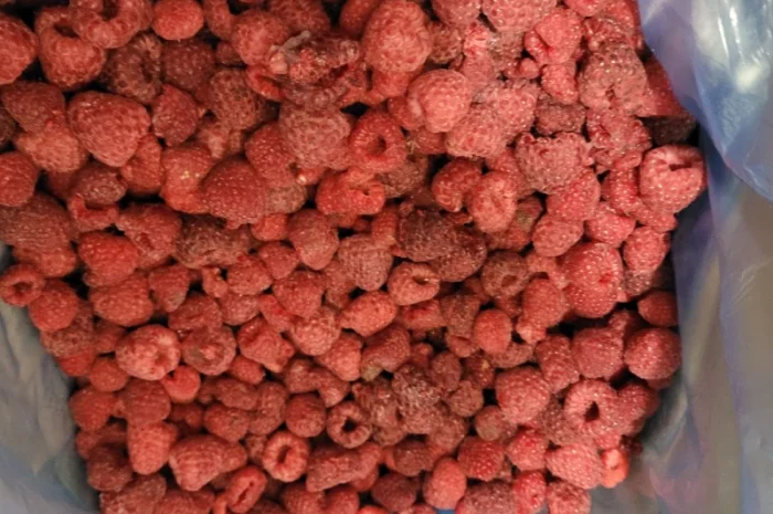 Продам малину- фото № 2