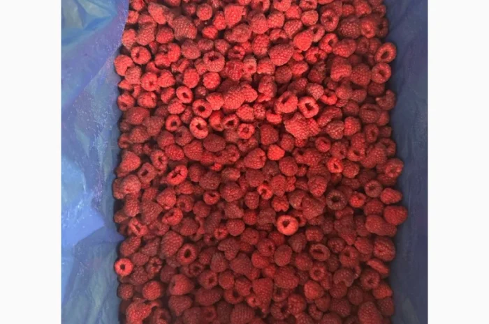 Малина заморожена, 90/10, урожай 2024 року- фото № 2