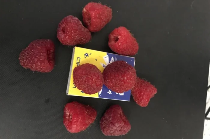 Продам малину- фото № 1