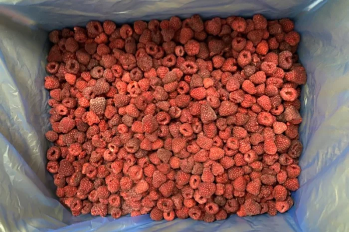 Продам малину 80/20 або в чешці- фото № 6