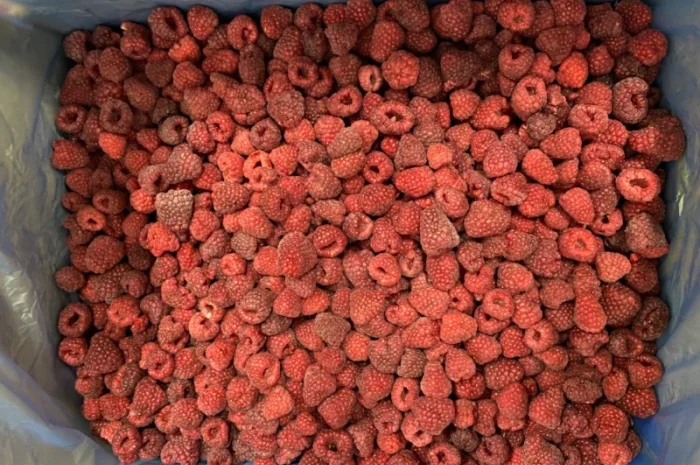 Продам малину 80/20 або в чешці- фото № 7