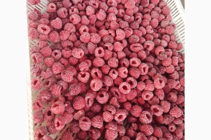 Продам МАЛИНУ замороженную- фото № 1