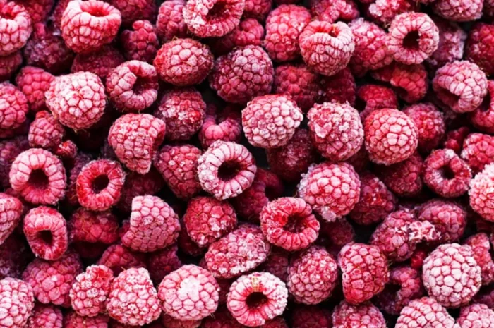 Закуповуємо заморожені ягоди- фото № 1