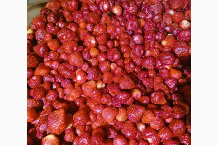 Закуповуємо заморожені ягоди- фото № 2