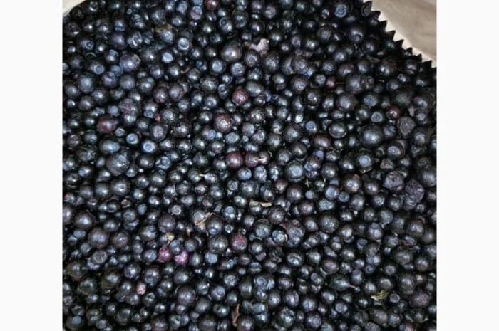 Закуповуємо заморожені ягоди- фото № 3