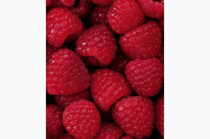 Куплю свіжу малину оптом, тільки оптом- фото № 1