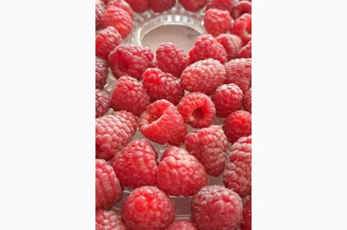 Продам малину сушену- фото № 2