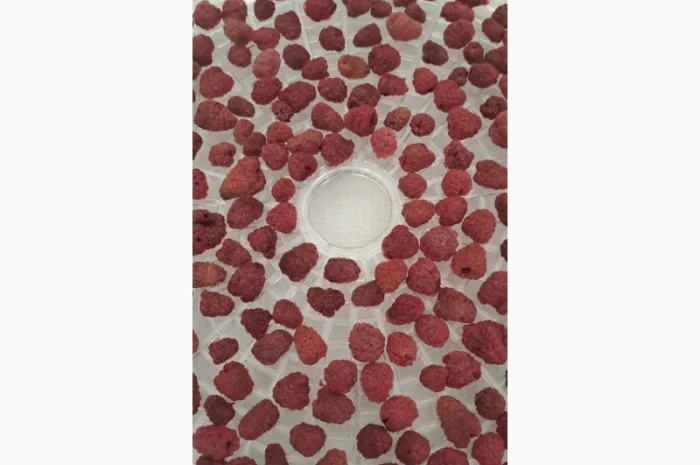 Продам малину сушену- фото № 3