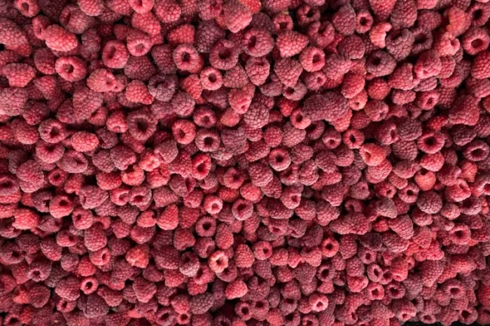 Заморожена малина- фото № 3