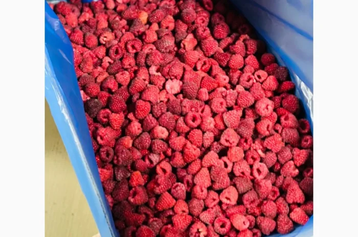 Заморожена малина- фото № 4