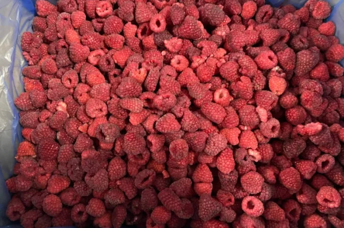 Заморожена малина- фото № 6