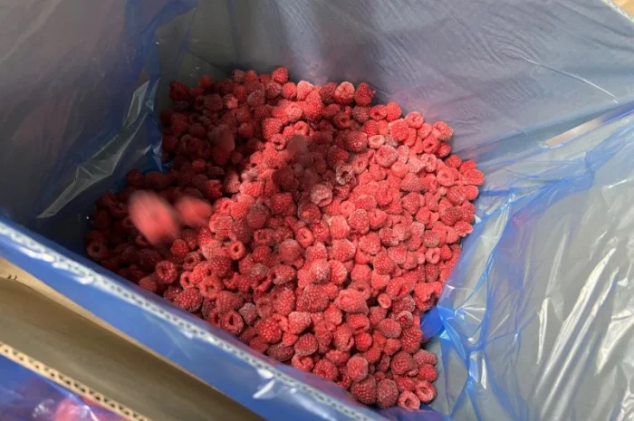 Заморожена малина- фото № 8