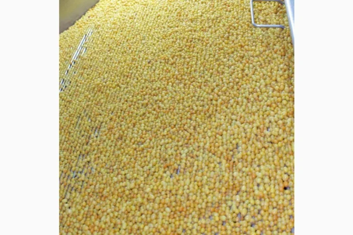 Обліпиха заморожена Б - клас- фото № 3