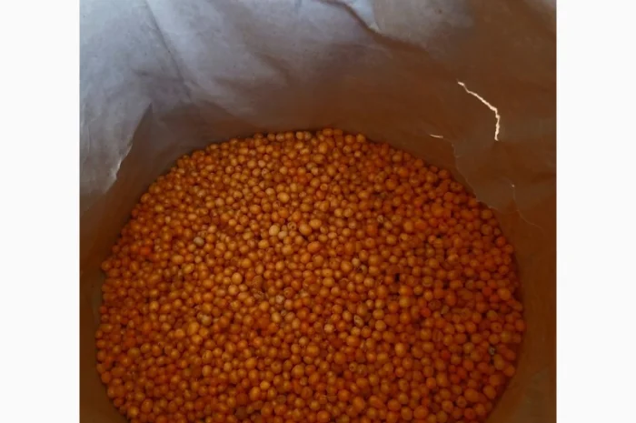 Обліпиха заморожена Б - клас- фото № 1