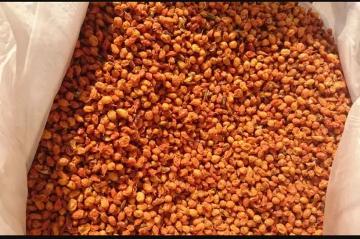 Куплю сушеную облепиху- фото № 1