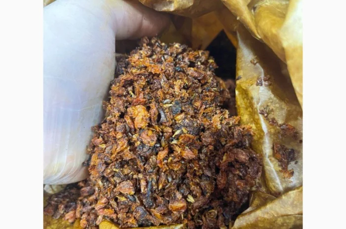 Продам сушену обліпиху, культивована- фото № 2