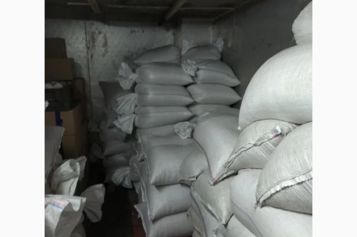 Продам обліпиху, облепиху- фото № 2