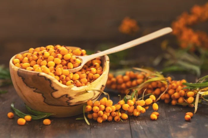 Обліпиха на вагу- фото № 1