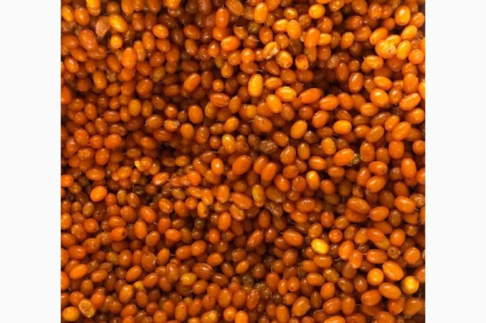 Купимо заморожену обліпиху від 10 тон оптом- фото № 1