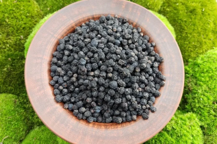 Аронія сушена, горобина чорноплідна, арония черноплодная- фото № 1