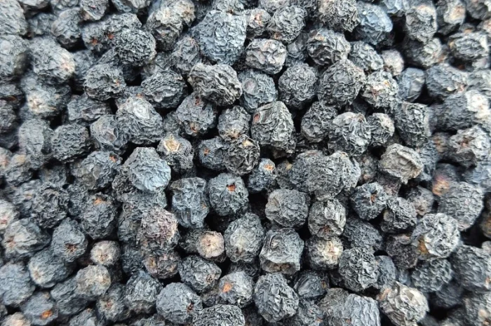 Аронія сушена, горобина чорноплідна, арония черноплодная- фото № 2