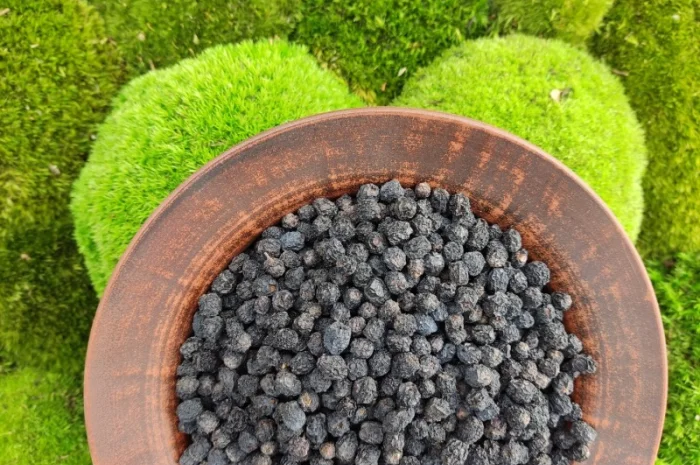 Аронія сушена, горобина чорноплідна, арония черноплодная- фото № 3