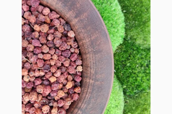 Горобина, червоноплідна горобина, рябина- фото № 2