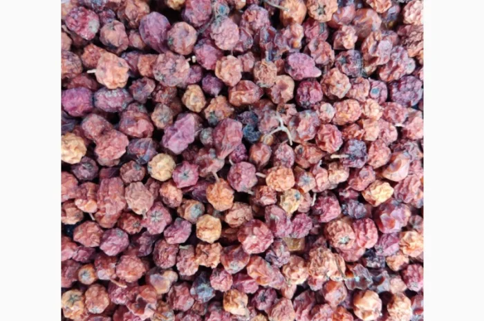 Горобина, червоноплідна горобина, рябина- фото № 3