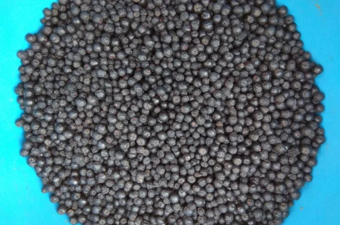 Черноплодная рябина, арония- фото № 2