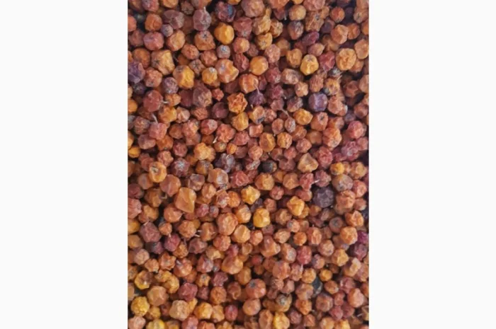 Продам рябину красную (сухую)- фото № 1