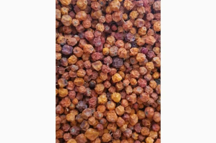 Продам рябину красную (сухую)- фото № 2