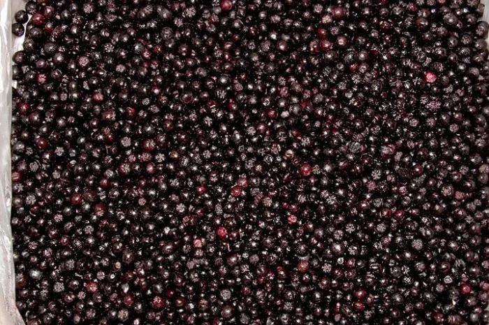 Продам замороженные ягоды Аронии- фото № 1