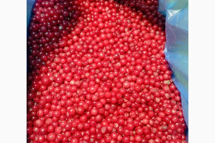 Куплю порічку заморожену- фото № 1