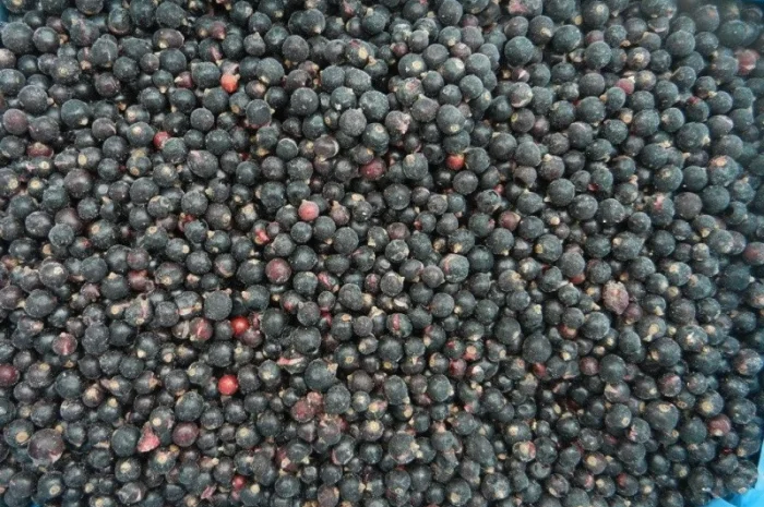 Куплю Смородину замороженную- фото № 1