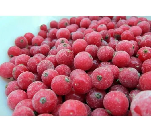 Куплю порічку заморожену порічка- фото № 1