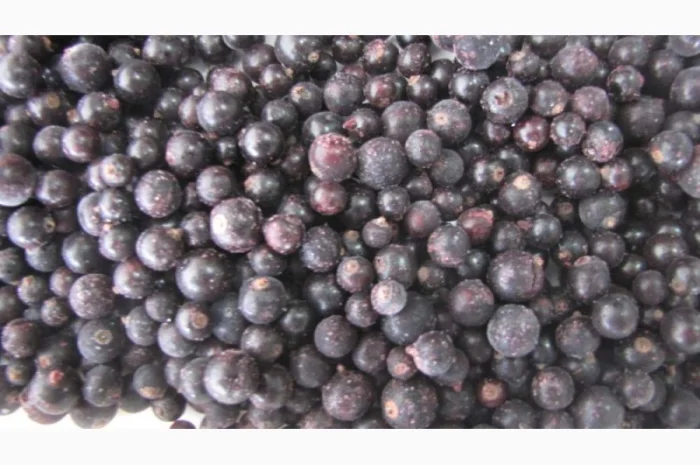 Куплю черную смородину замороженную- фото № 1