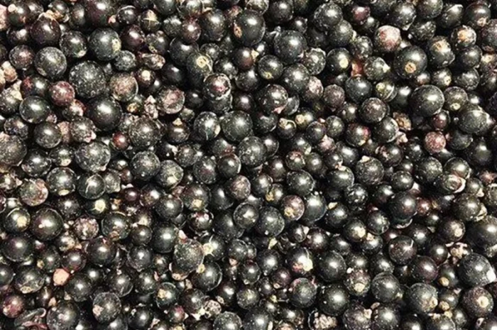 Куплю замороженную смородину- фото № 1