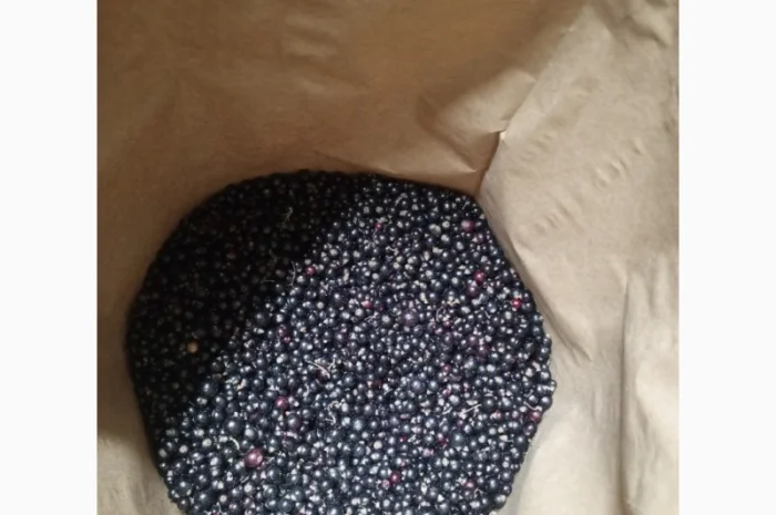 Продам смородину заморожену- фото № 1