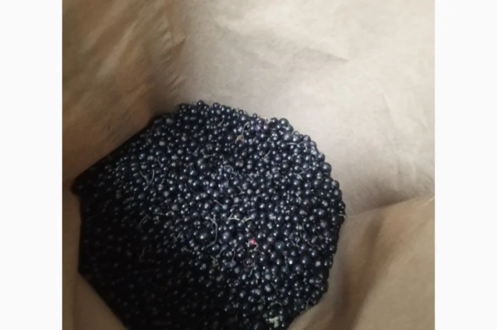 Продам смородину заморожену- фото № 2