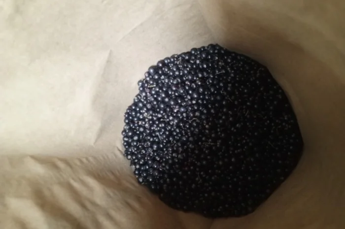 Продам смородину заморожену- фото № 3