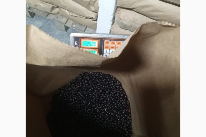 Продам 1400кг смородини- фото № 3