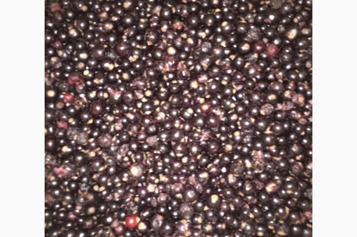 Куплю смородину заморожену- фото № 1