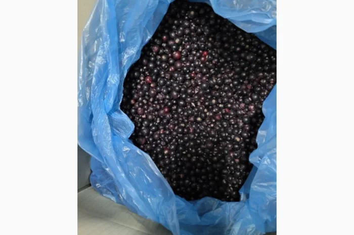 Смородина заморожена Б-клас- фото № 1