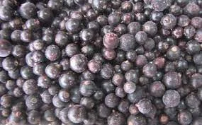 Оптова компанія закуповує заморожену чорну смородину оптом з відтермінуванням 14-30 днів- фото № 1