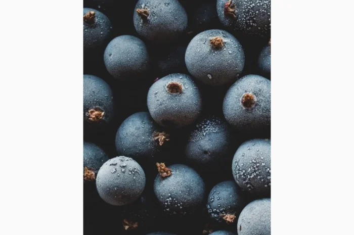 Закуповуємо заморожену чорну смородину- фото № 1