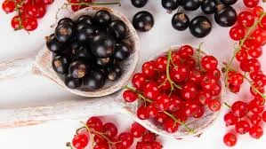 Куплю чорну та червону смородину- фото № 2